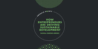 Bok Cove "How Entrepreneurs are Driving Sustainable Development"