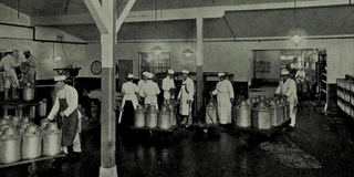 A Department of the Copenhagen Milk-Supply Company