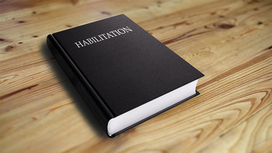 Photo thick book with inscription "Habilitation"
