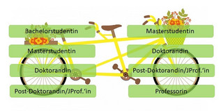 Abgebildet ist ein Tandem das Mentoringbeziehung auf unterschiedlichen Ebenen symbolisiert. Bachelorstudierende zu Masterstudierender, Masterstudierende zu Doktorandin, Doktorandin zu Post Doc oder Junior Prof, Post Doc oder Junior Prof zu Professorin