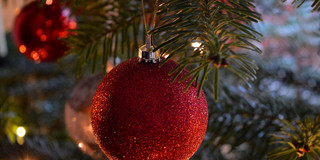 Weihnachtsbaum vor rotem Hintergrund