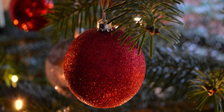 Weihnachtsbaum vor rotem Hintergrund