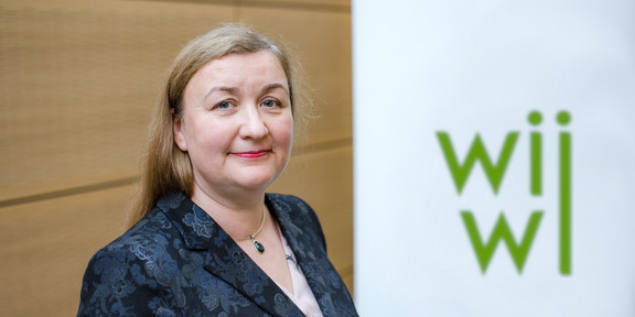 Foto Prof. Dr. Liudvika Leišytė