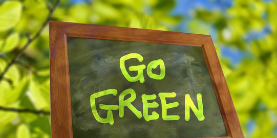 Symbol Picture frame with green lettering "Go Green" in front of leafy branches in the background