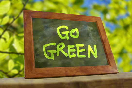 Symbol Bild Go Green Symbol Bilderrahmen mit grünem Schriftzug "Go Green" vor belaubten Ästen im Hintergrund