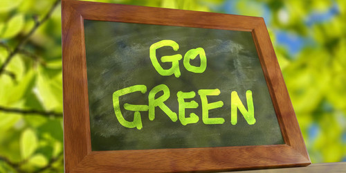 Symbol Picture frame with green lettering "Go Green" in front of leafy branches in the background