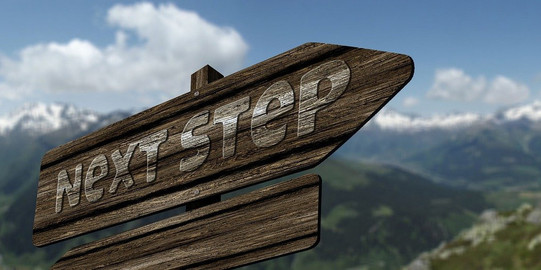 Photo of a wooden signpost with the inscription "Next Step Photo of a wooden signpost with the white inscription Next Step. In the background a mountain panorama.