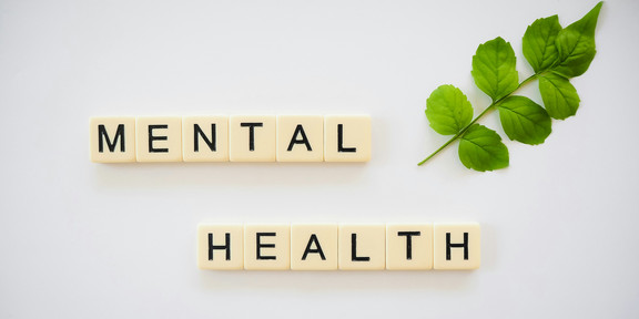 Scrabble-Steine mit der Aufschrift „Mental Health“ und ein grüner Zweig als Symbol für mentale Gesundheit.