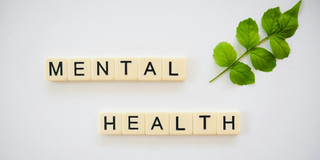 Scrabble tiles with the words "Mental Health" and a green twig as a symbol of mental health.