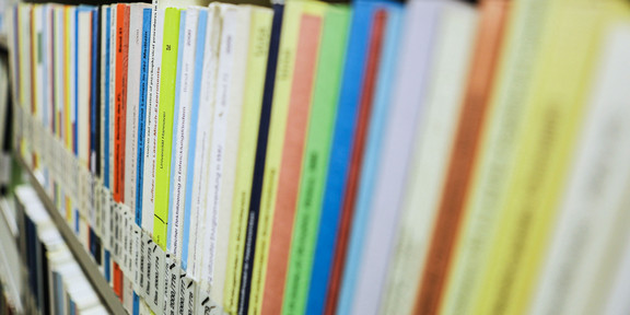 Bücher mit der Aufschrift Dissertation auf dem Buchrücken im Bücherregal der Bibliothek