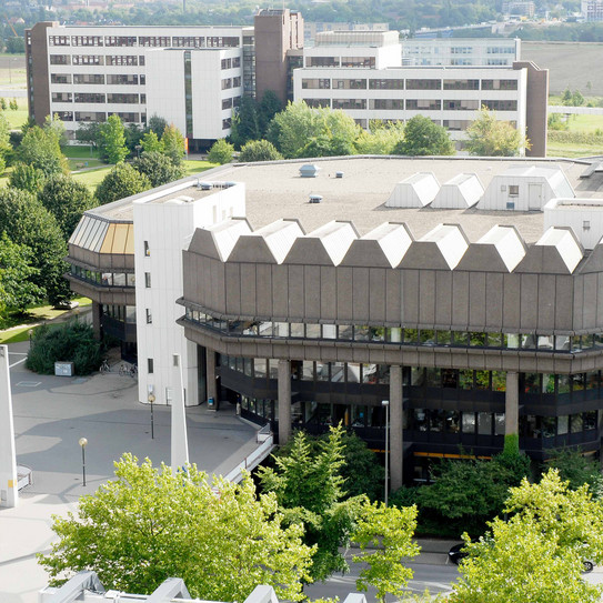 Bibliothek von oben, grüne Bäume