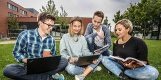 Eine Gruppe studierender lernt auf der Wiese.