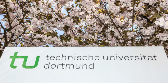 An information pillar of the TU Dortmund surrounded by blossoming cherry blossoms.