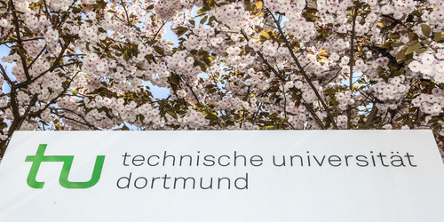 Eine Informationssäule der TU Dortmund umgeben von blühenden Kirschblüten.