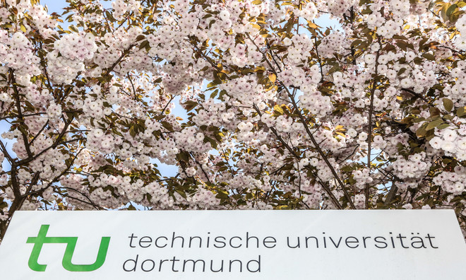 An information pillar of the TU Dortmund surrounded by blossoming cherry blossoms.