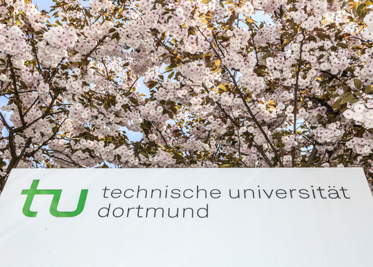 An information pillar of the TU Dortmund surrounded by blossoming cherry blossoms.