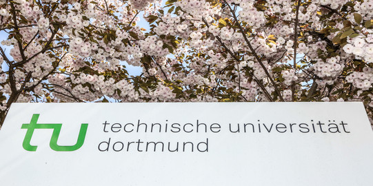 Eine Informationssäule der TU Dortmund umgeben von blühenden Kirschblüten.